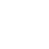 Icon 1 1