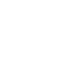 Icon 2 1