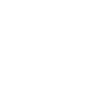 Icon 3 1