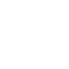 Icon 6 1